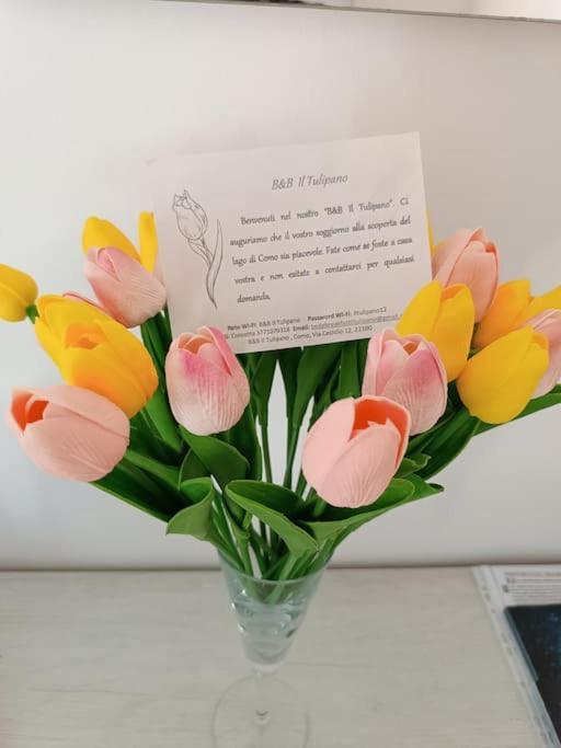 B&B Il Tulipano Como Eksteriør billede